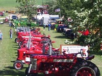 Farmall tractors lined up on display.