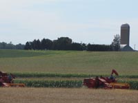 A pair of Massey combines working in the field.