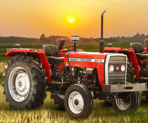 TAFE Massey Ferguson 244 DI