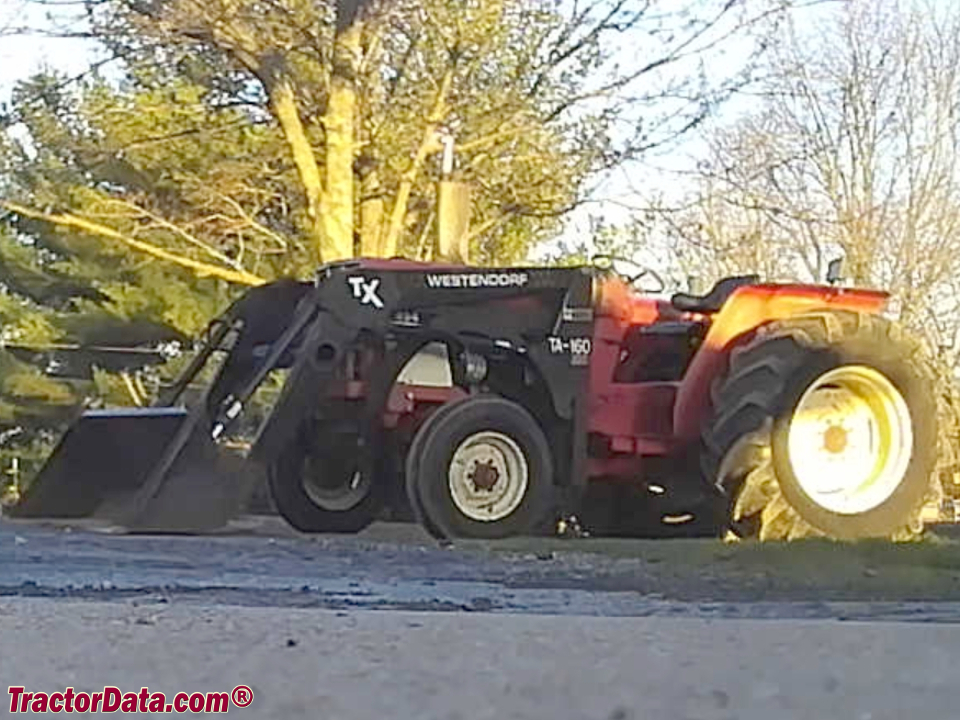 International 484 with Westendorf loader.