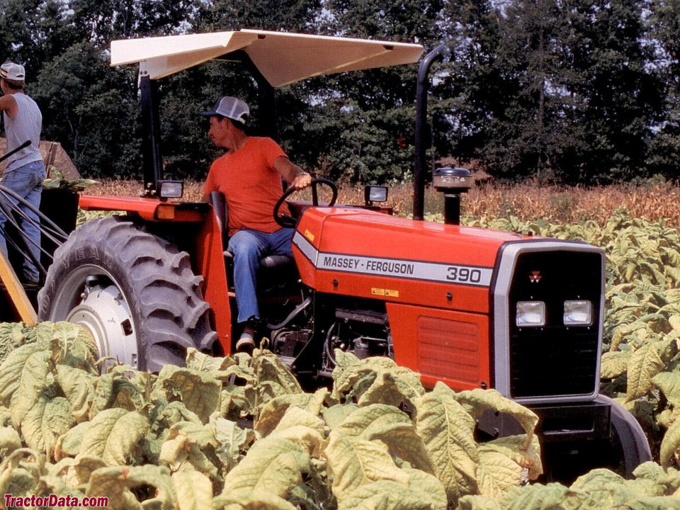 Massey Ferguson 390  Tracteur compact - TrucksNL