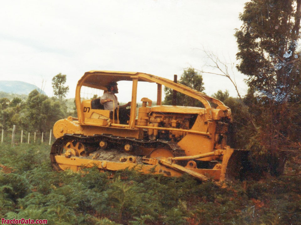 Caterpillar D7 clearing land in Tasmania.