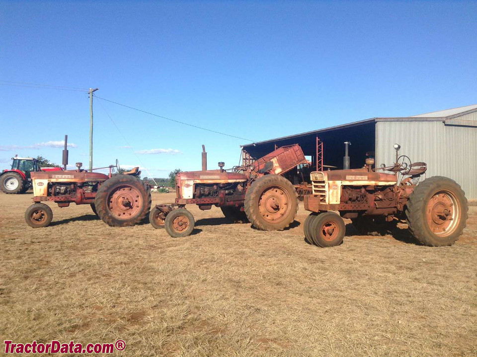 Three Farmall A-514 tractors.