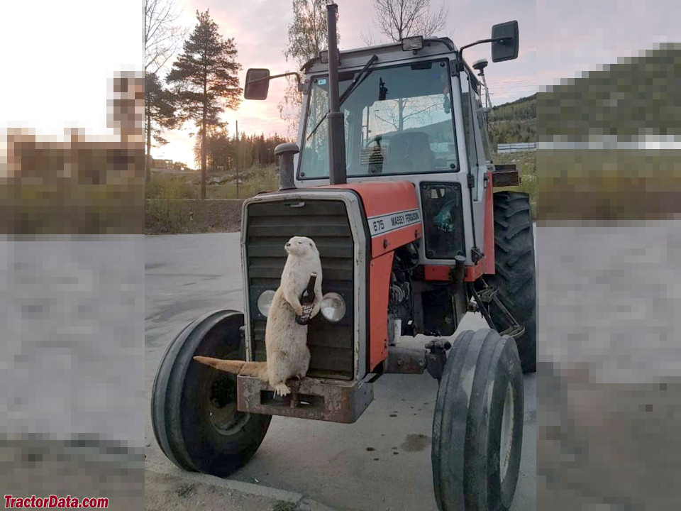 Massey Ferguson 675